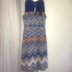 NEW BCBGMaxAzria Sundress